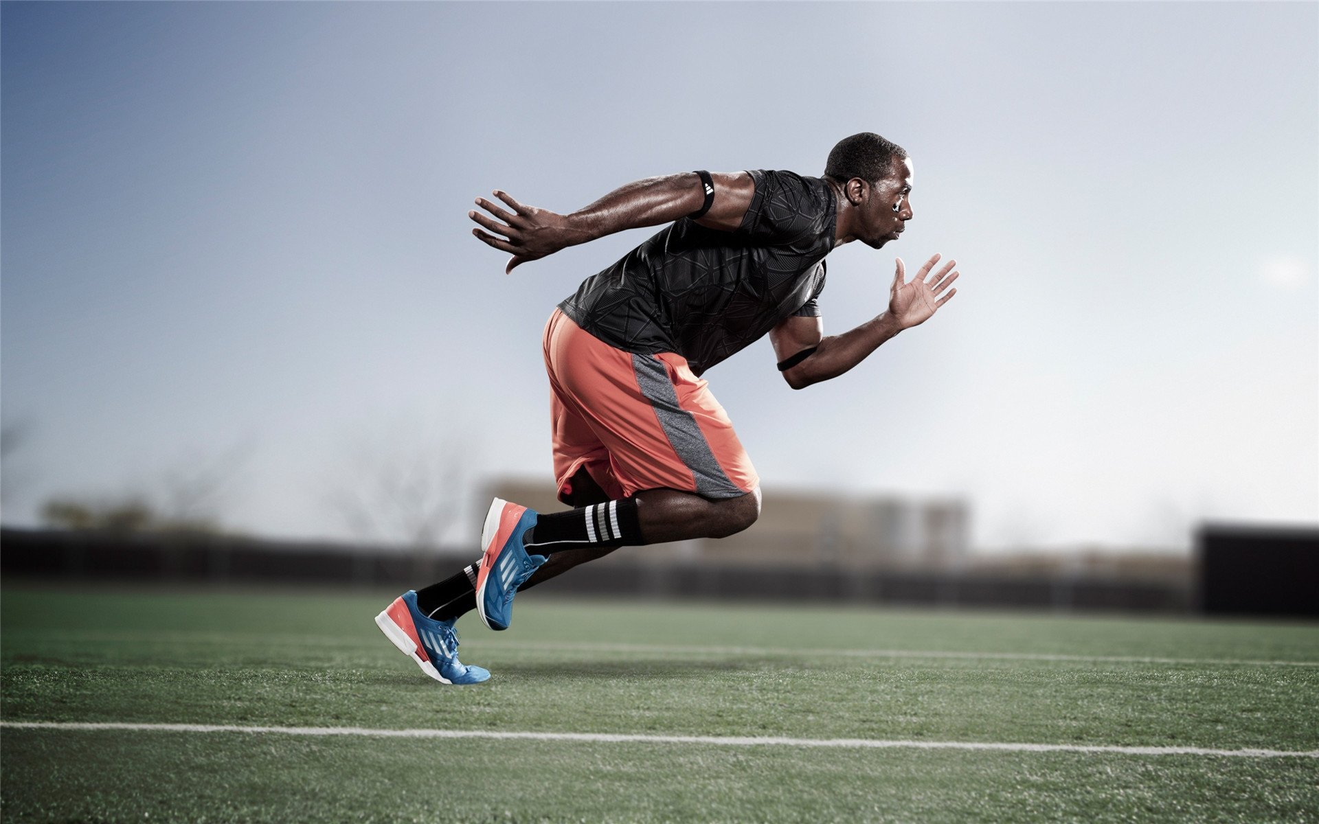 凯蒂·莱德基耐力训练成果显著，莱德基多强